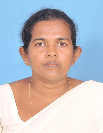Dammikaa